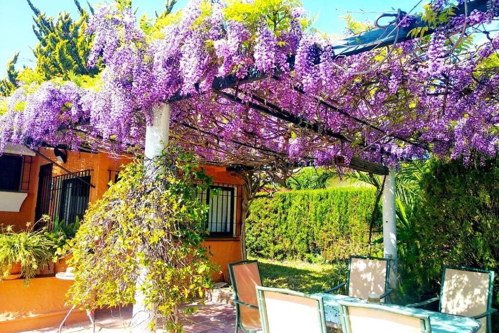 Villa Torrenueva Málaga Extérieur photo