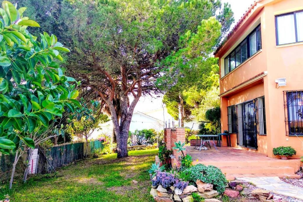 Villa Torrenueva Málaga Extérieur photo