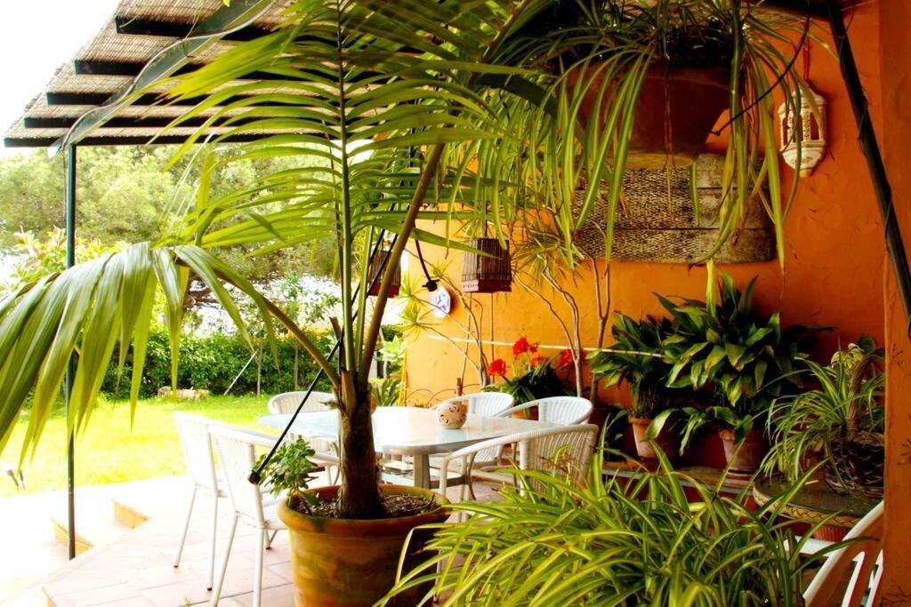 Villa Torrenueva Málaga Extérieur photo